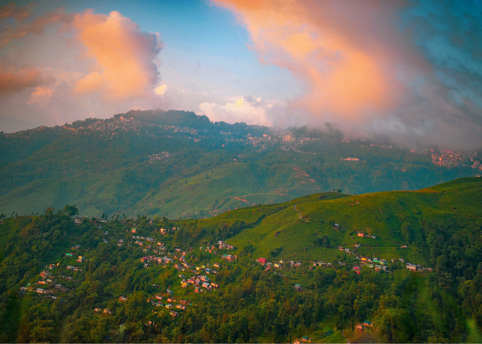 Photo of The DARJEELING by Susnata