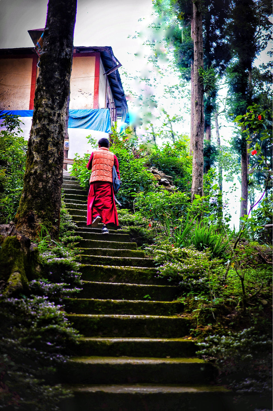 Photo of The DARJEELING by Susnata