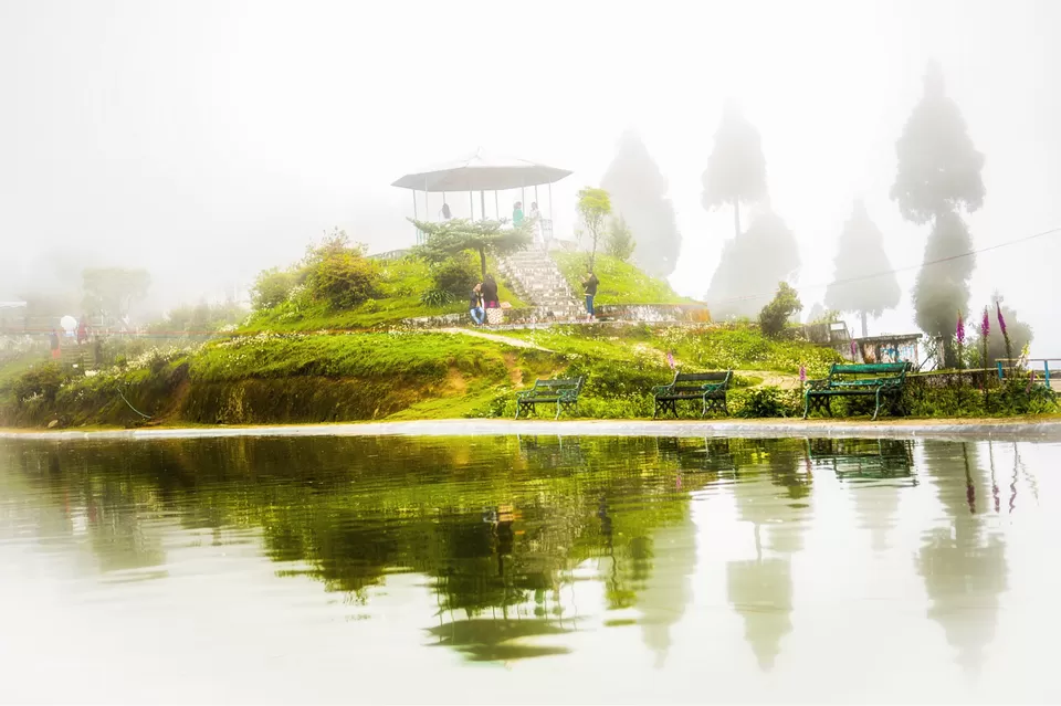 Photo of The DARJEELING by Susnata