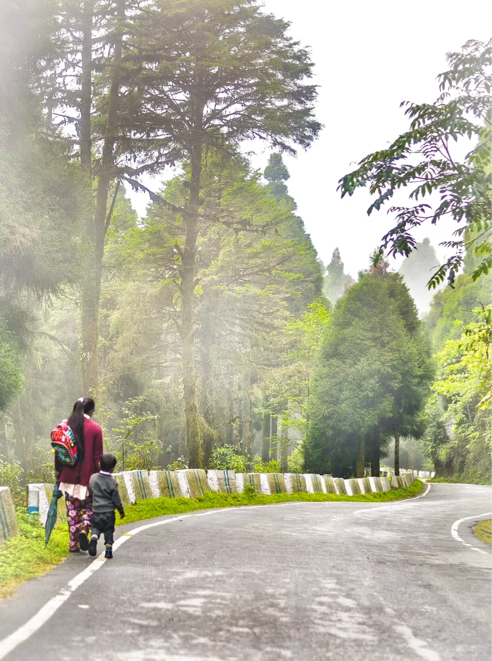 Photo of The DARJEELING by Susnata
