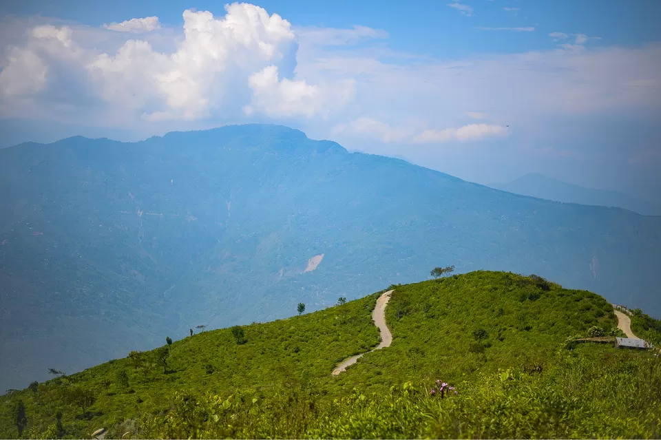 Photo of The DARJEELING by Susnata