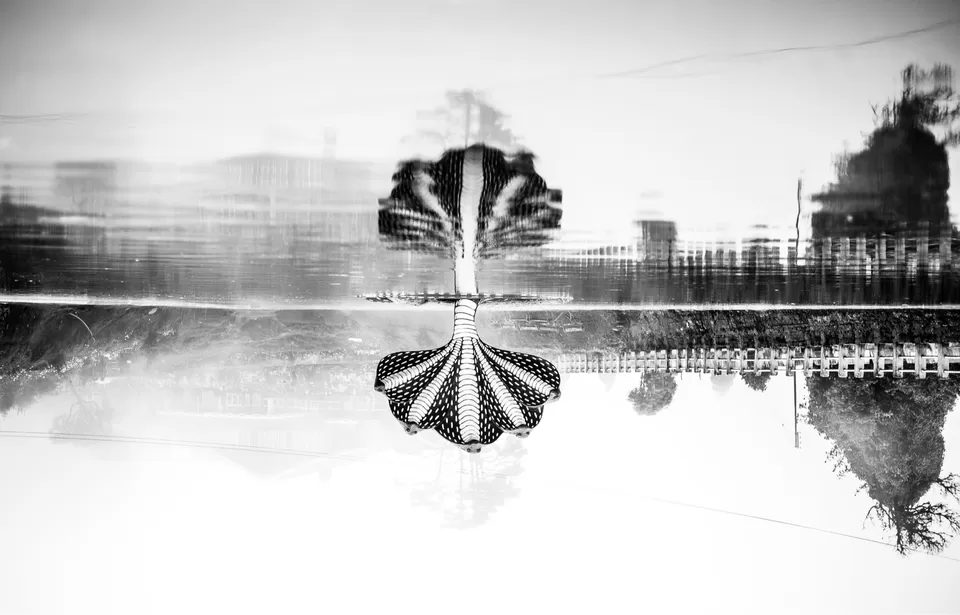 Photo of The DARJEELING by Susnata
