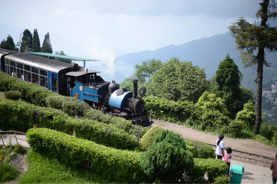 Photo of The DARJEELING by Susnata