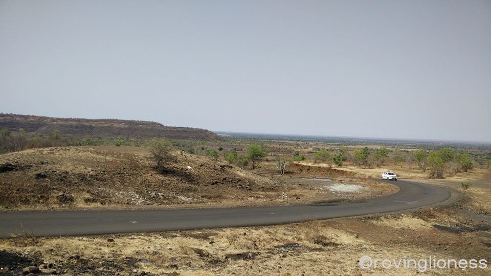 Photo of Peace and adventure in Ananthagiri Hills 1/12 by Deepika Arora
