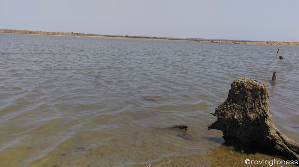 Photo of Peace and adventure in Ananthagiri Hills 3/12 by Deepika Arora