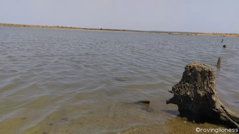 Photo of Kotipally reservoir or Nagarsamudam Lake, Vikarabad by Deepika Arora