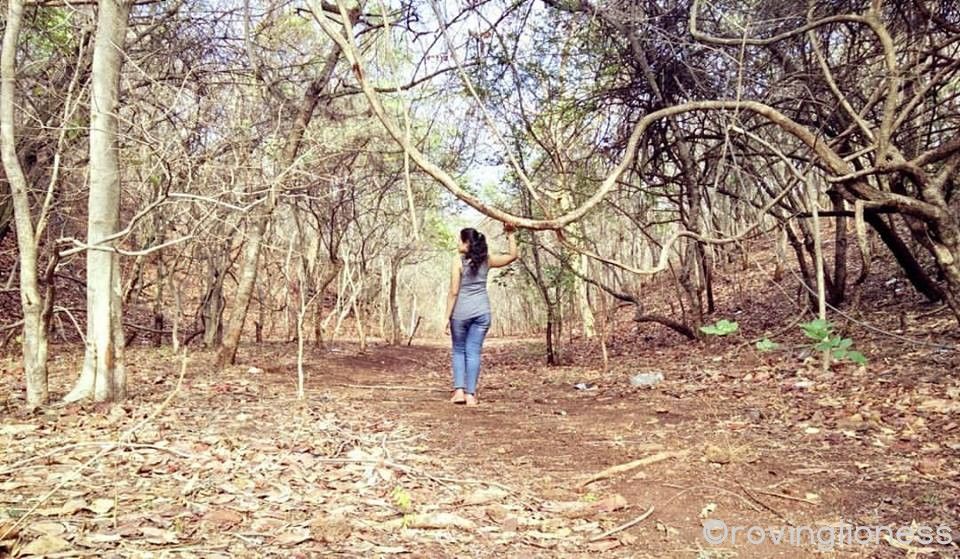 Photo of Peace and adventure in Ananthagiri Hills 4/12 by Deepika Arora