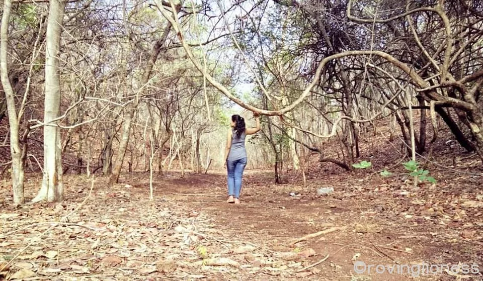 Photo of Ananthagiri Forest by Deepika Arora
