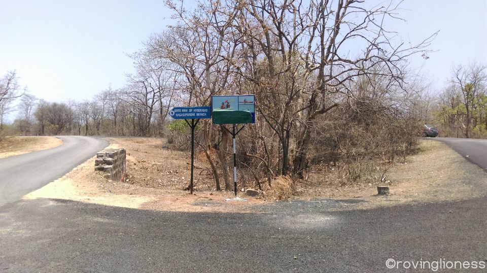 Photo of Peace and adventure in Ananthagiri Hills 6/12 by Deepika Arora