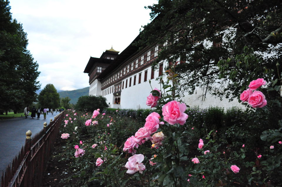 Photo of Memories of Bhutan-mountains,meadows,monasteries and more by Travsian