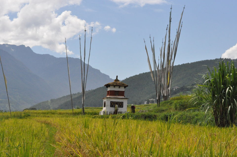 Photo of Punakha, Bhutan by Travsian
