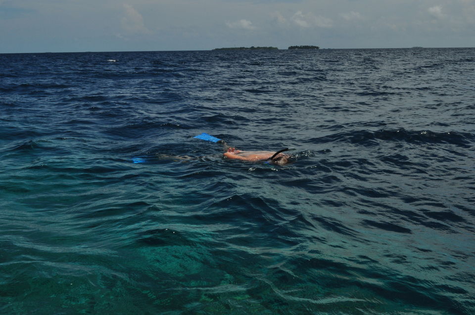 Photo of 7 reasons why you need to plan a trip to Maldives ! by Travsian