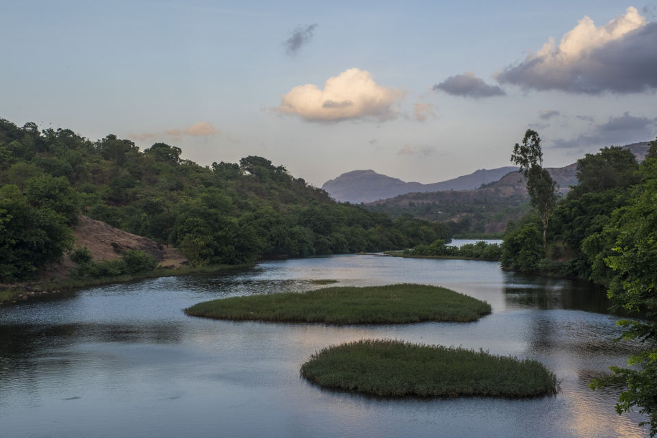 Photo of The Dance of the Fireflies 7/10 by The reDiscovery Project