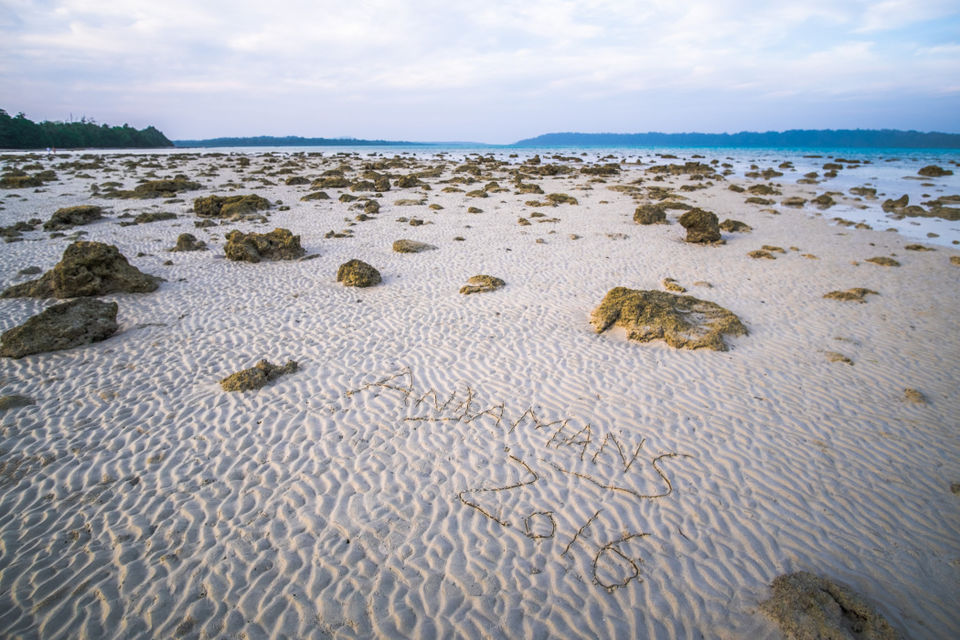Photo of Notes from an Island 2/14 by The reDiscovery Project