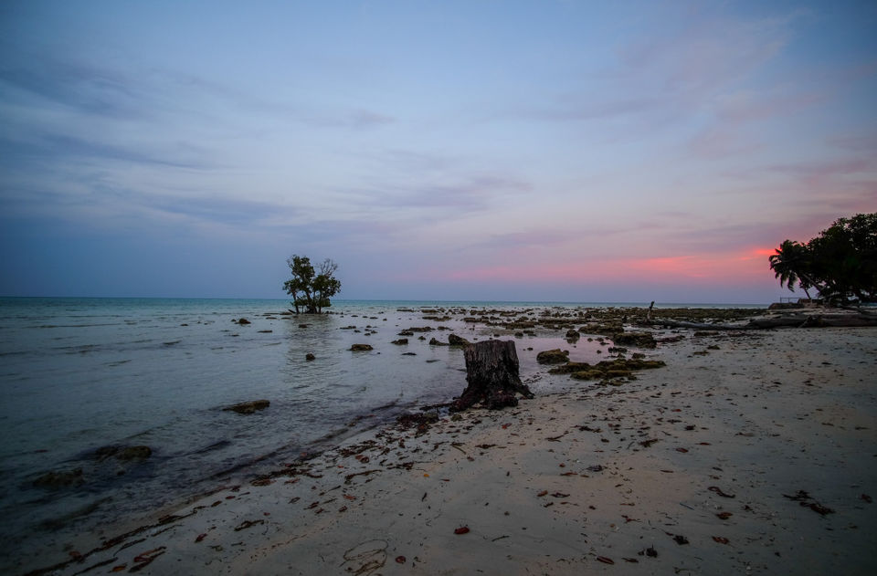 Photo of Notes from an Island 3/14 by The reDiscovery Project