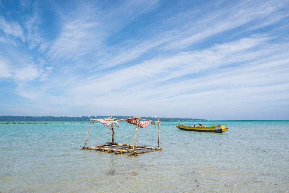 Photo of Notes from an Island 6/14 by The reDiscovery Project