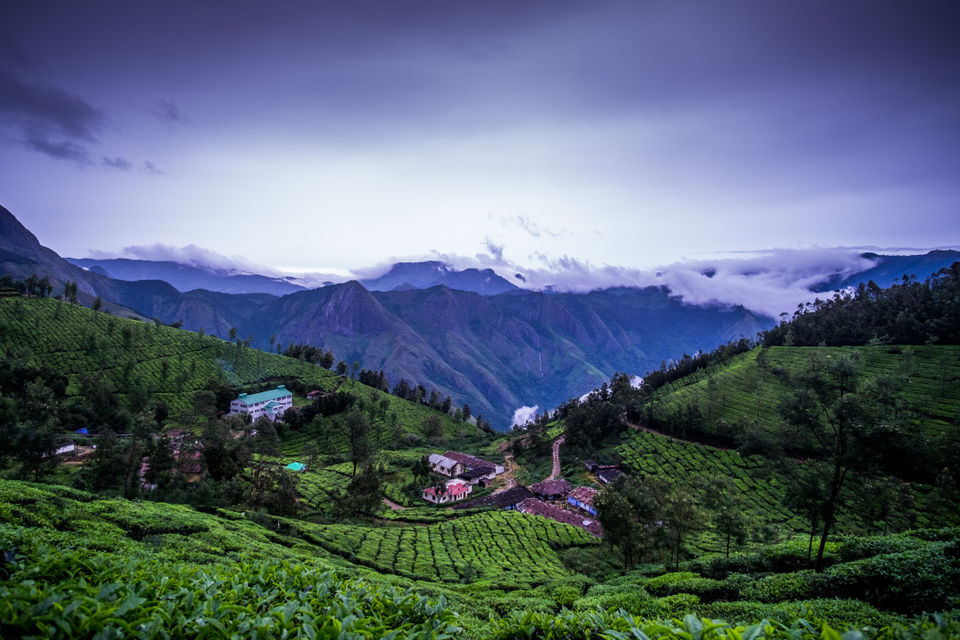 Photo of The Road that isn’t & The Highest Tea Plantation in the world. 12/12 by The reDiscovery Project