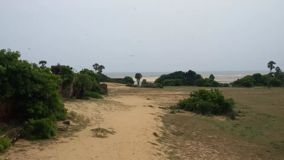 Photo of ECR Road, Mahabalipuram, Tamil Nadu, India by Oscar Lawrence
