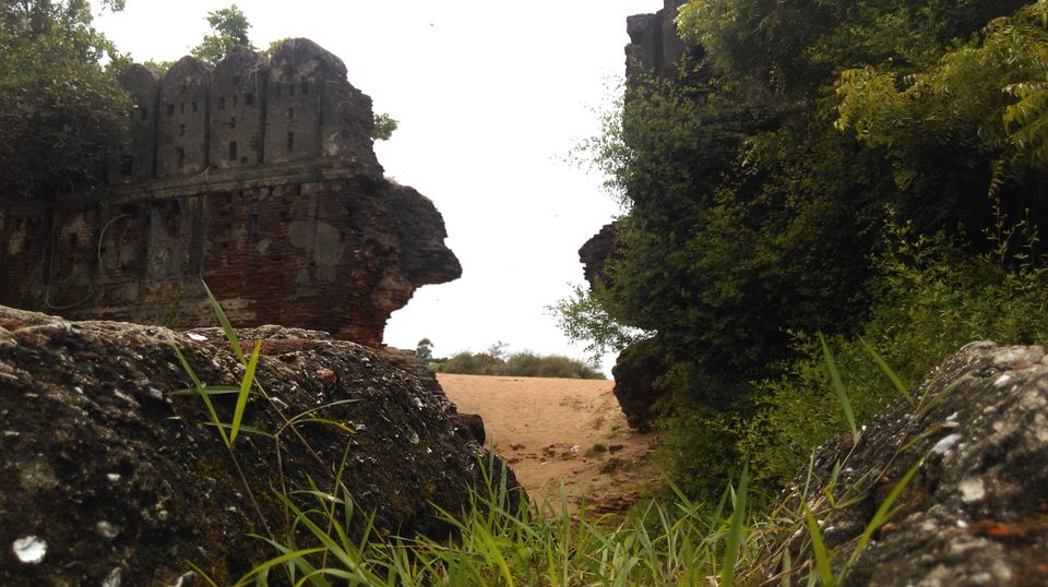 Photo of Alamparai Fort, Edaikazhinadu, Tamil Nadu, India by Oscar Lawrence
