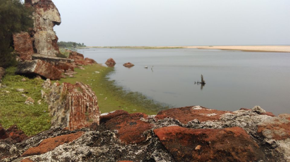 Photo of Kadappakkam, Tamil Nadu, India by Oscar Lawrence