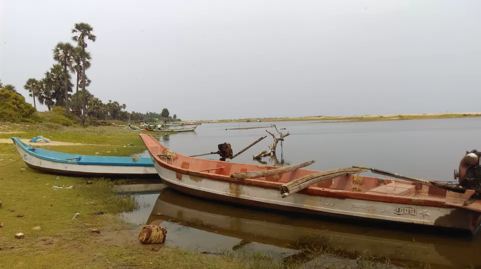 Photo of Tamil Nadu, India by Oscar Lawrence