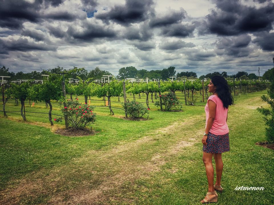 Photo of The wine buzz 6/10 by sruthy menon
