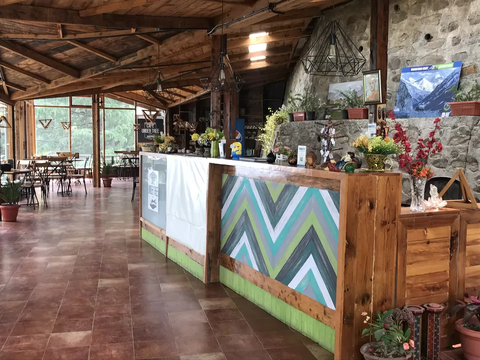 Photo of Cafe Under Tree, Jakhu, Shimla, Himachal Pradesh, India by Jaya Singh