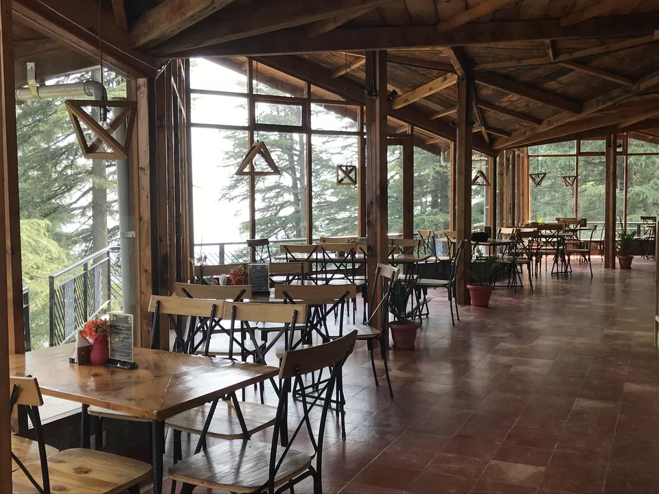 Photo of Cafe Under Tree, Jakhu, Shimla, Himachal Pradesh, India by Jaya Singh