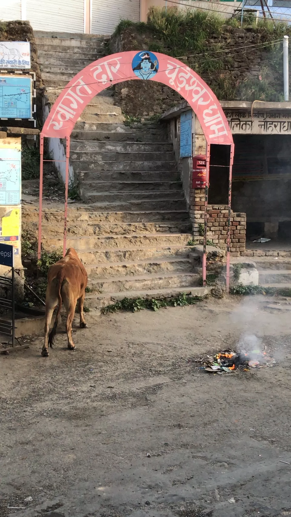 Photo of Nohradhar, Himachal Pradesh, India by Jaya Singh