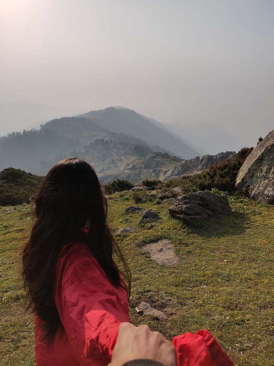 Photo of From Nohradhar to Shimla- Churdhar Trek by Jaya Singh