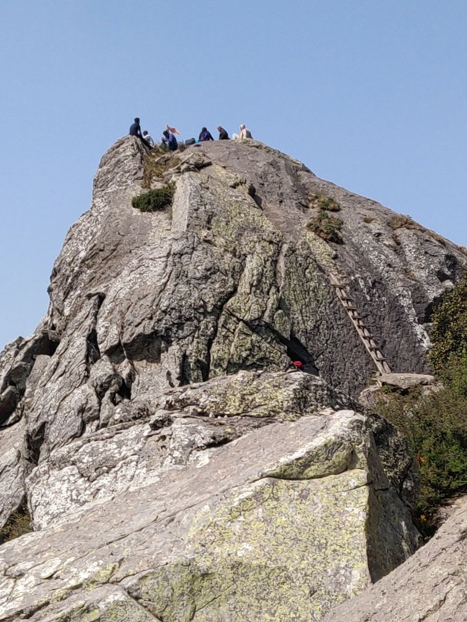 Photo of From Nohradhar to Shimla- Churdhar Trek by Jaya Singh