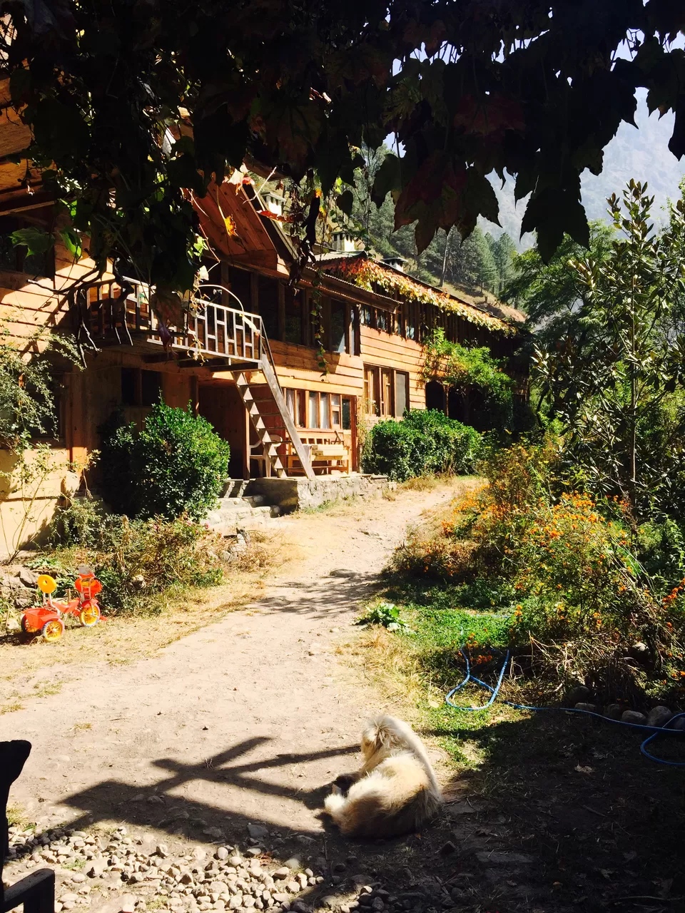 Photo of Raju Bharti's Guest House, teh, Banjar, Himachal Pradesh, India by Kanika