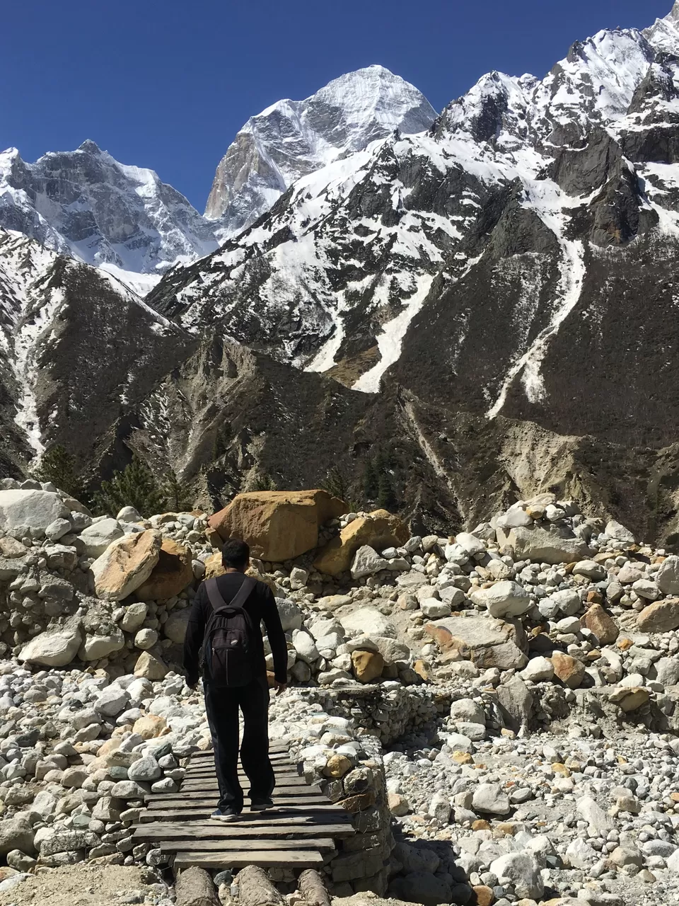 Photo of Gangotri National Park By Naresh Shah