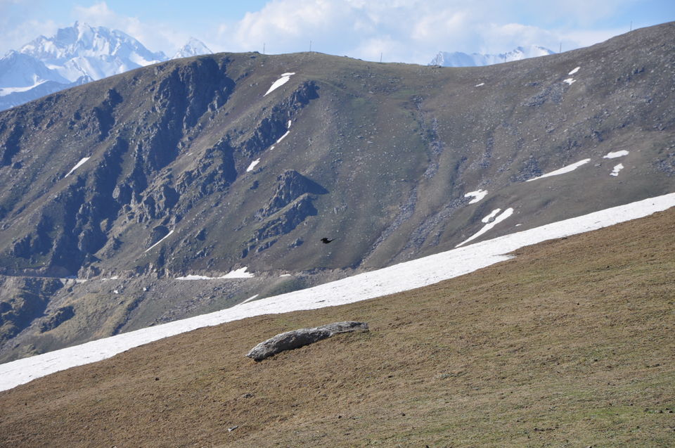 Photo of Chanshal View 2/2 by Amit Sewag