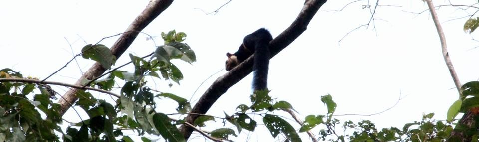 Photo of Into The Wild - Behind My Backyard 17/24 by Liz Thottan