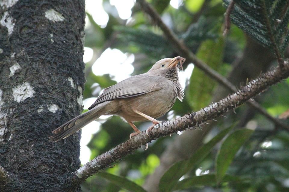 Photo of Into The Wild - Behind My Backyard 15/24 by Liz Thottan