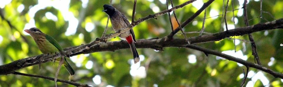 Photo of Into The Wild - Behind My Backyard 19/24 by Liz Thottan