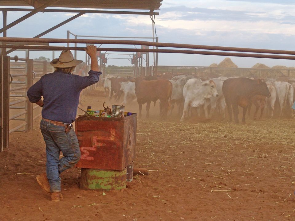 Photo of My Experience When Visiting Deserted Places in Australia 1/4 by Tad Madsen