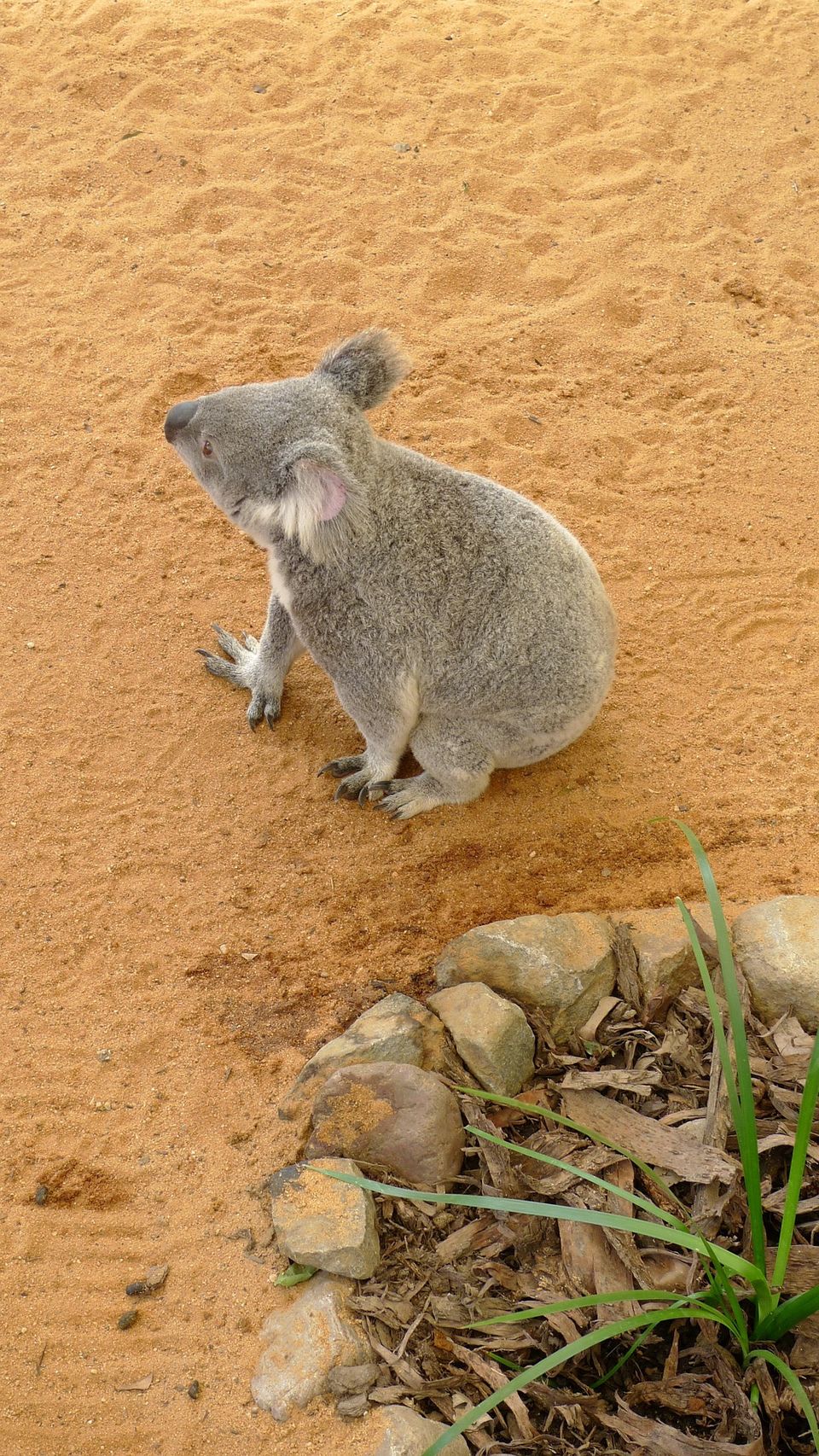 Photo of My Experience When Visiting Deserted Places in Australia 4/4 by Tad Madsen