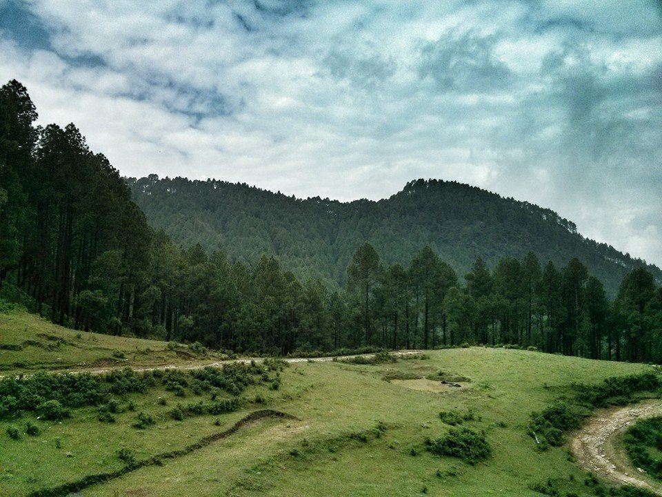 Photo of Dunagiri Road, Dudhouli, Uttarakhand, India by Prachi