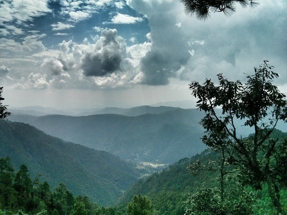 Photo of Dunagiri Road, Dudhouli, Uttarakhand, India by Prachi