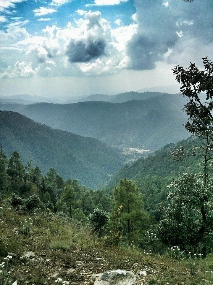 Photo of Dunagiri Road, Dudhouli, Uttarakhand, India by Prachi