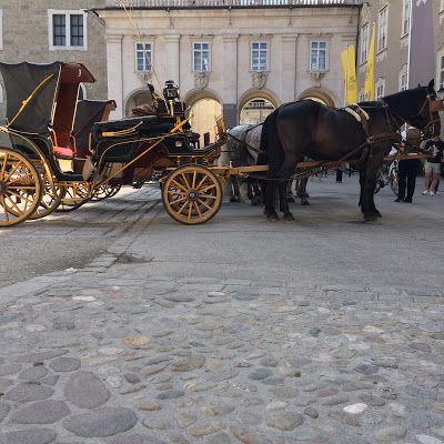 Photo of Salzburg in Austria- Top 10 things to do on a day trip 18/26 by Poulami Kundu