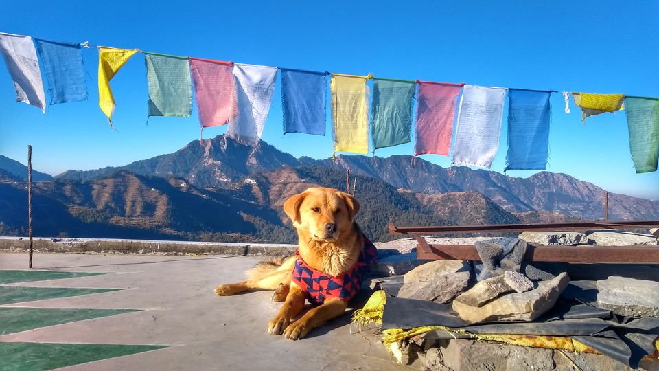 Photo of Kanatal - A peaceful weekend away from Delhi by Krishna Raghav
