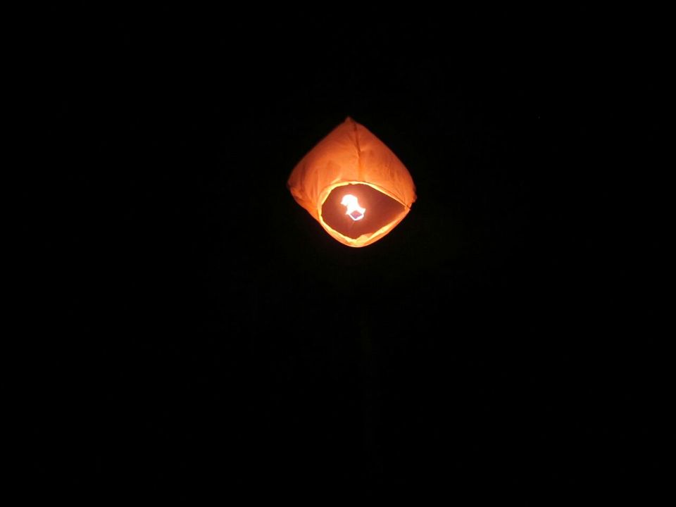 Photo of GOA 6/37 by Dipesh Sethia