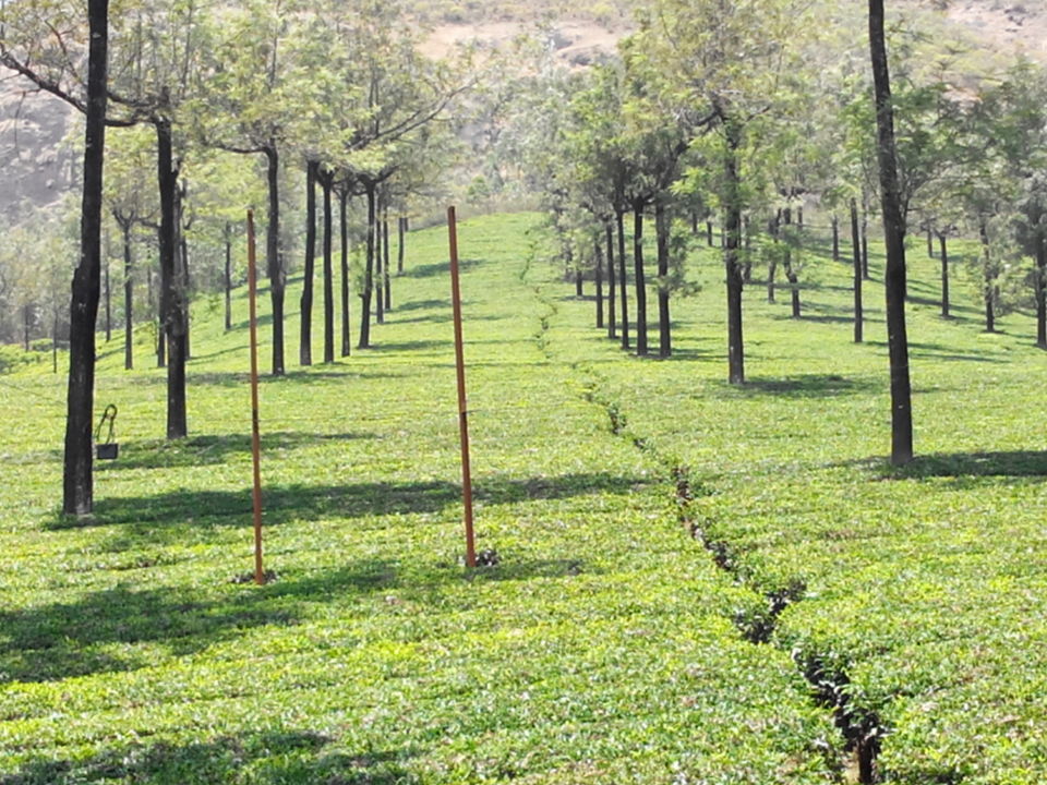 Photo of Kerala Proved To Me As God's Own Country 1/34 by Dipti Goyal