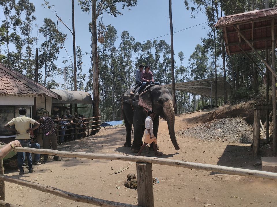 Photo of Kerala Proved To Me As God's Own Country 5/34 by Dipti Goyal