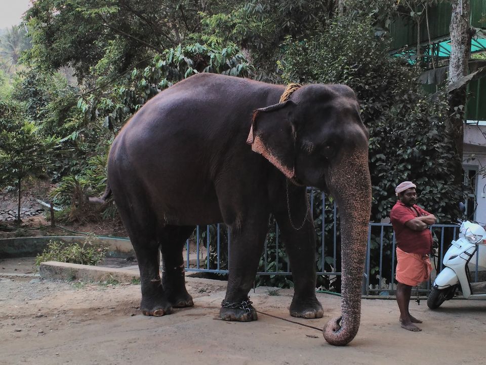 Photo of Kerala Proved To Me As God's Own Country 12/34 by Dipti Goyal