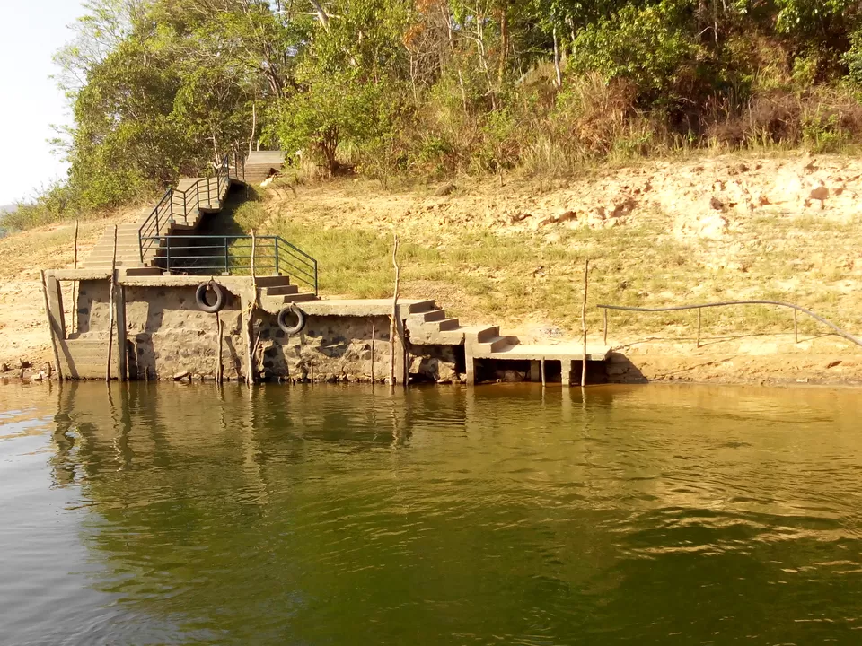 Photo of Thekkady, Kumily, Kerala, India by Dipti Goyal