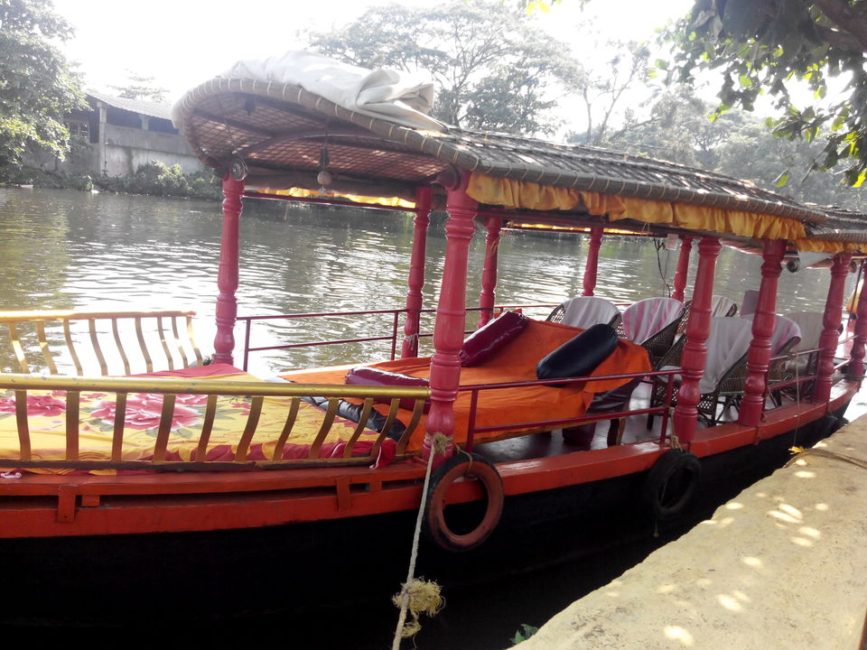 Photo of Kerala Proved To Me As God's Own Country 17/34 by Dipti Goyal